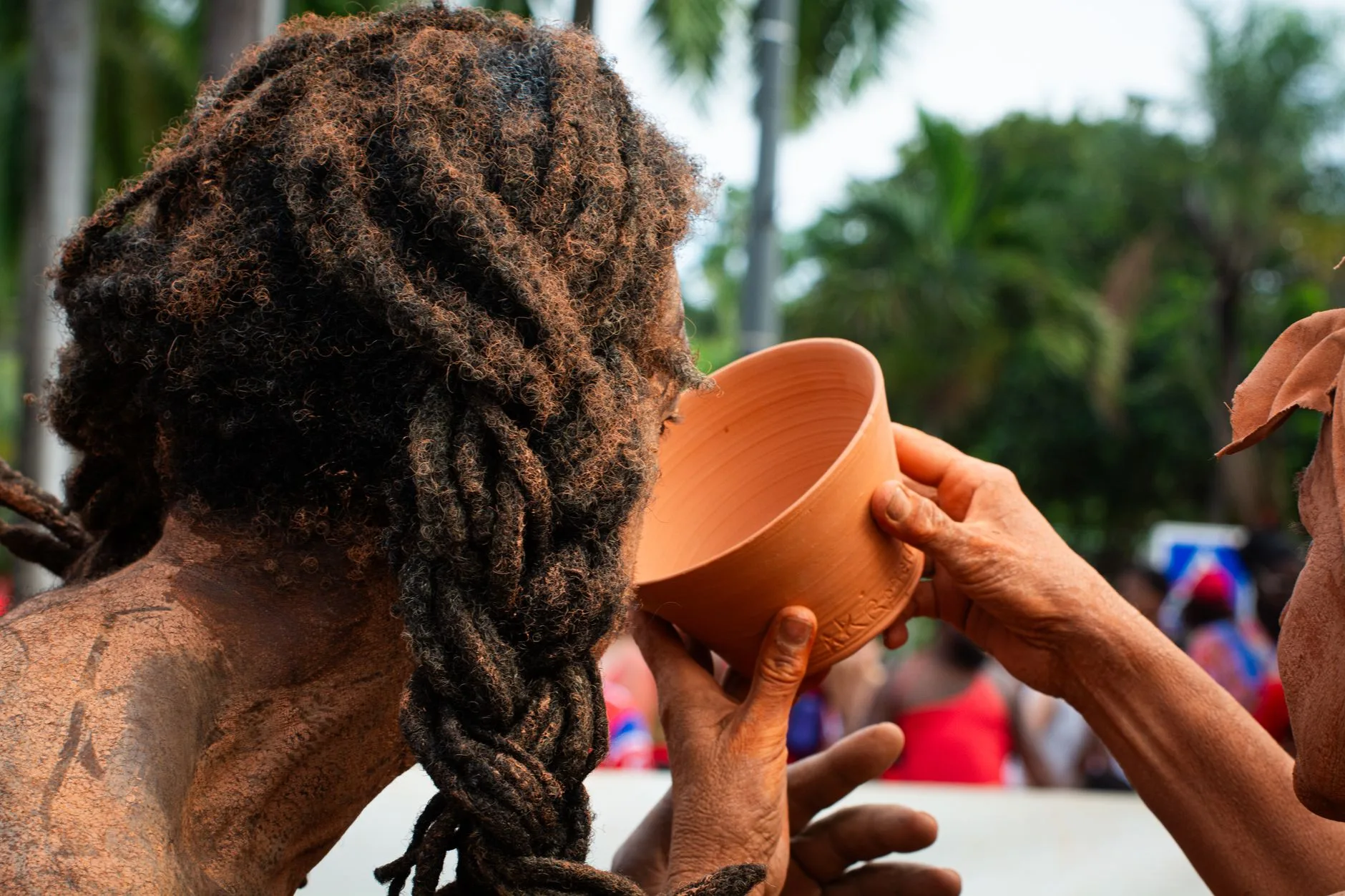Le kava : la boisson cérémonielle du Pacifique