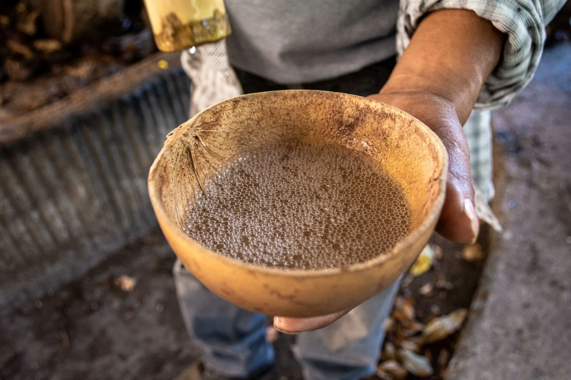 Bol traditionnel de kava en Papouasie-Nouvelle-Guinée, tenu à deux mains lors d'une cérémonie communautaire