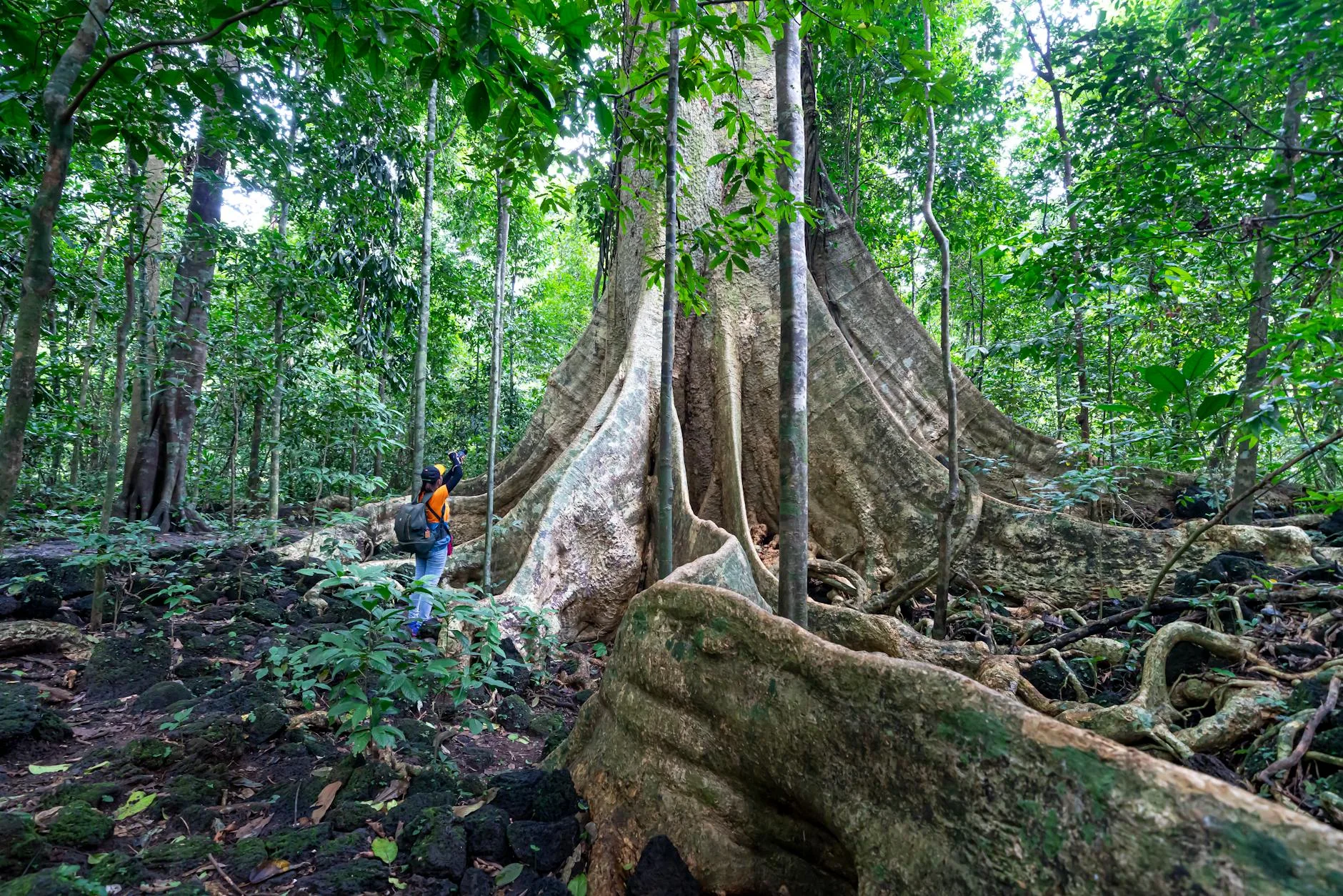 Varirata National Park