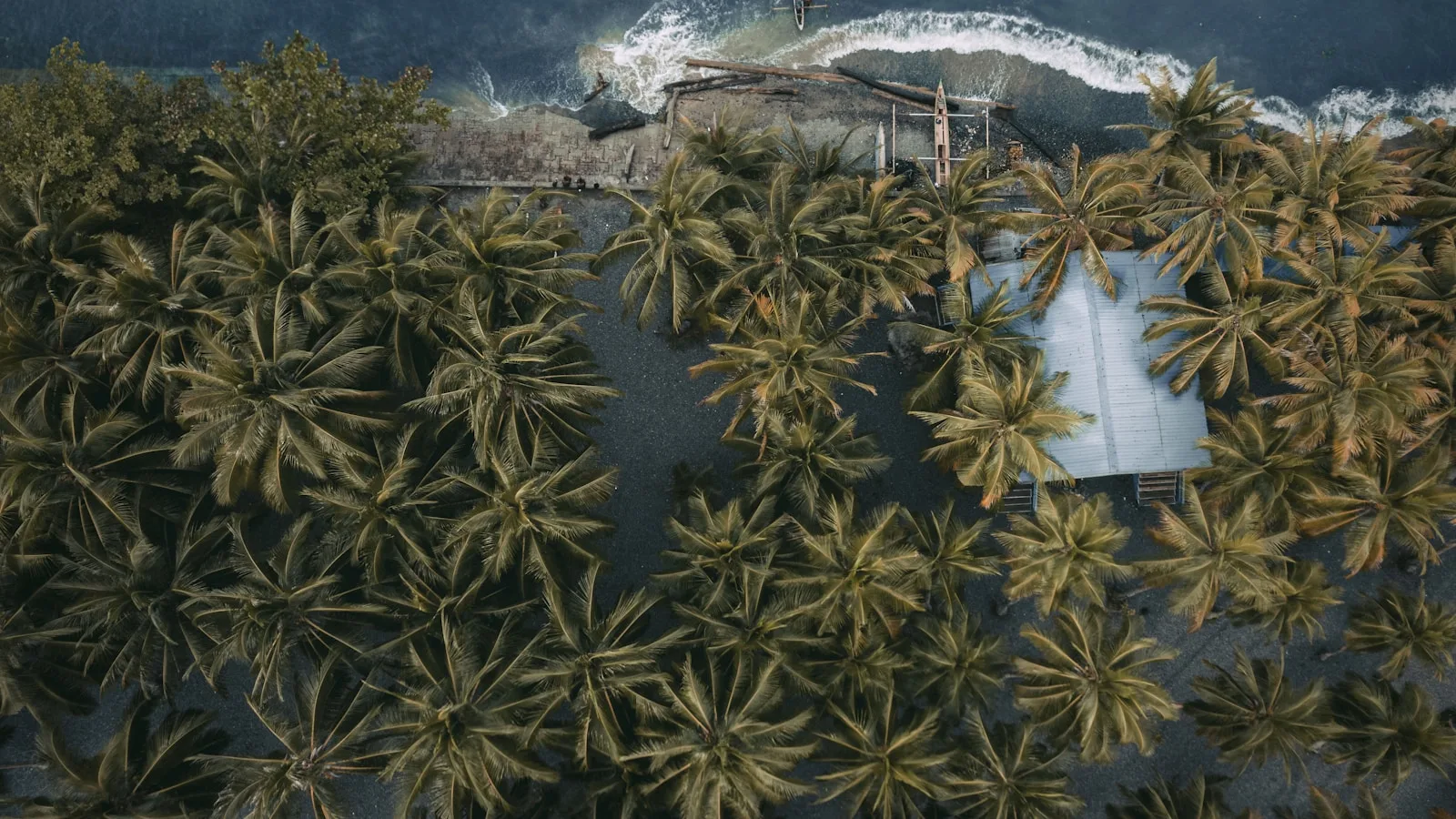 Au-delà du surf
